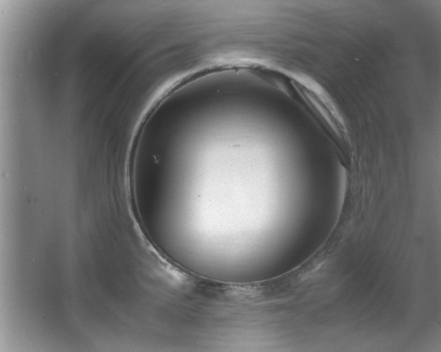 X0000066941191200603241134