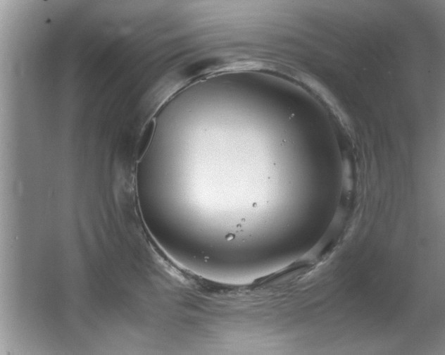 X0000066941193200603241134