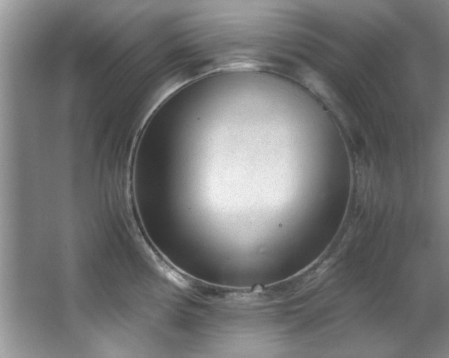 X0000066941194200603241134