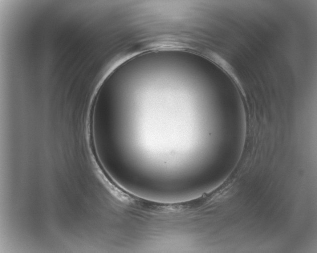 X0000066941195200603241134