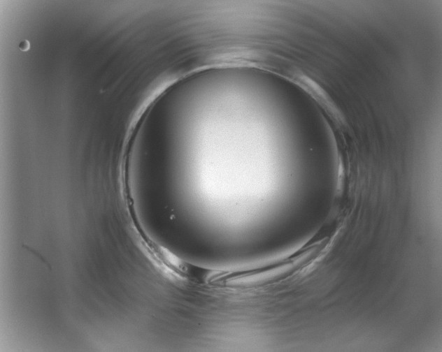 X0000066941196200603241134