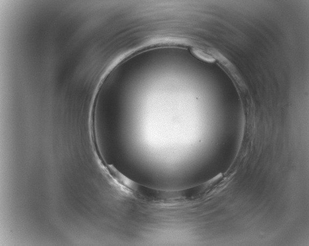 X0000066941199200603241134