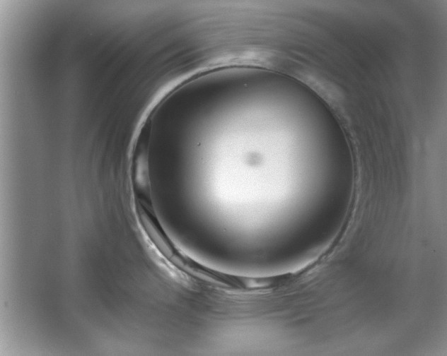 X0000066941200200603241134