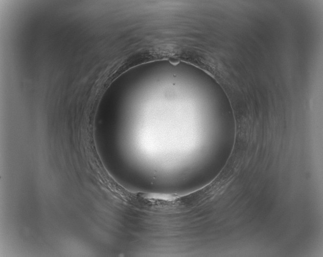 X0000066941201200603241133