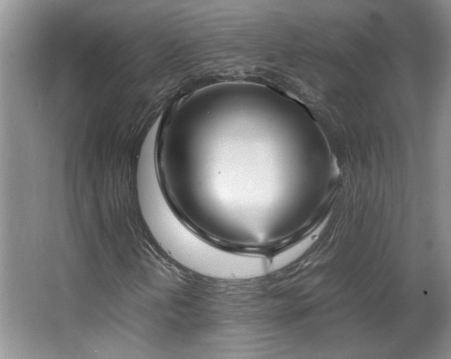 X0000066941202200603241133