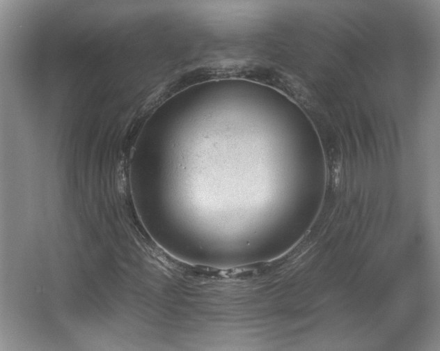 X0000066941204200603241133