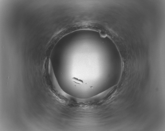 X0000066941206200603241133