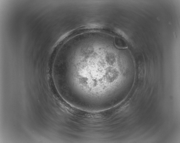 X0000066941213200603241133