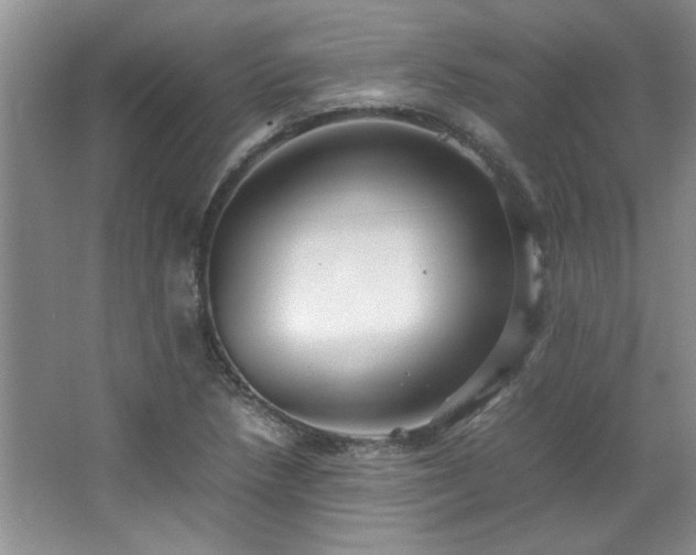 X0000066941218200603241133