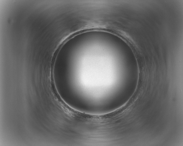 X0000066941220200603241133