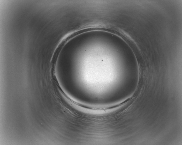 X0000066941222200603241133