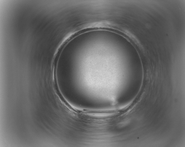 X0000066941224200603241133