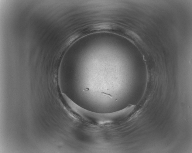 X0000066941225200603241133