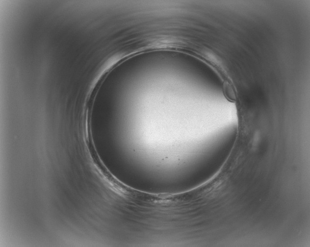 X0000066941227200603241133