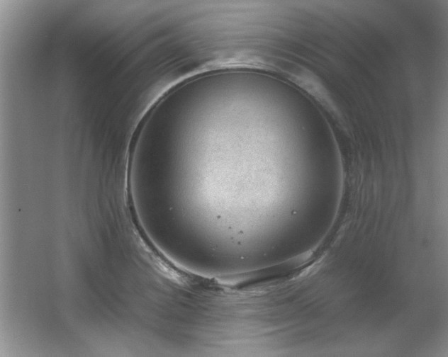 X0000066941228200603241133