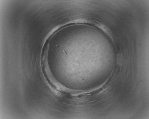 X0000066941229200603241133