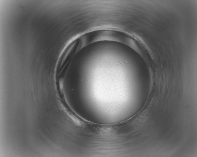 X0000066941230200603241133