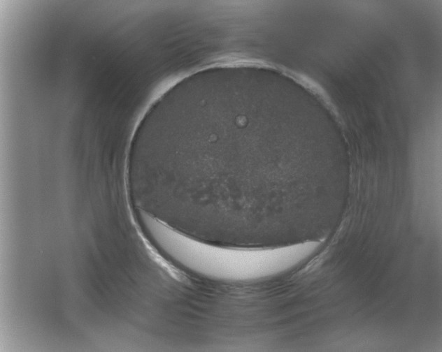 X0000066941231200603241133