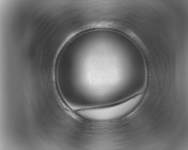 X0000066941232200603241133