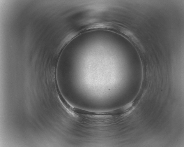 X0000066941233200603241133