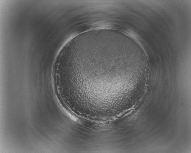 X0000066941235200603241134