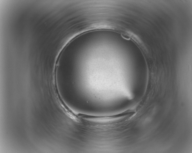 X0000066941236200603241134