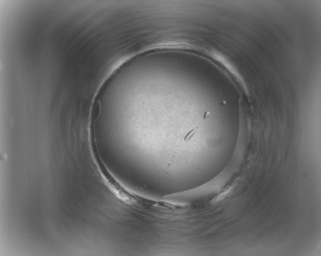 X0000066941237200603241134