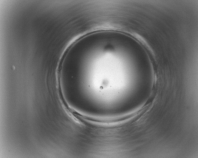 X0000066941238200603241134