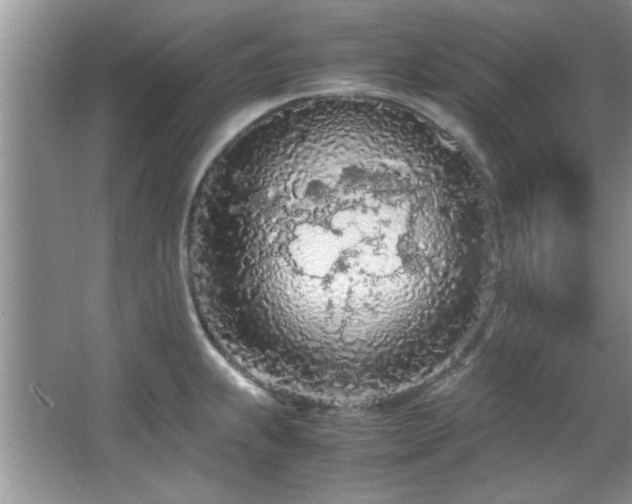 X0000066941239200603241134