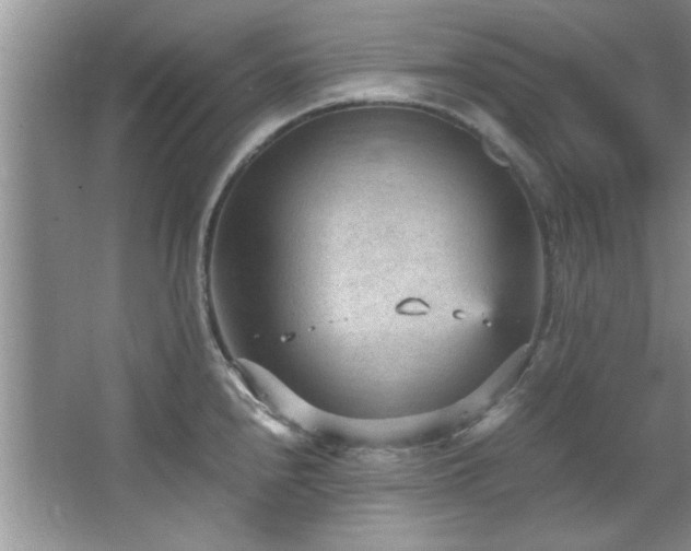 X0000066941240200603241134