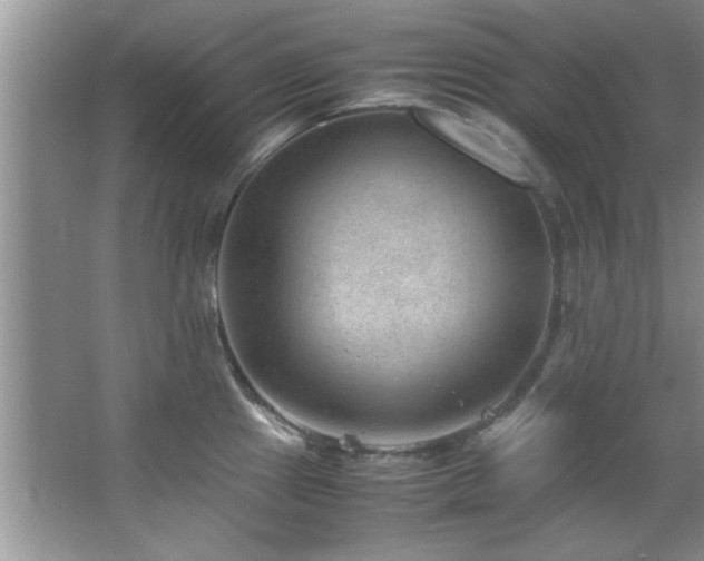 X0000066941241200603241134