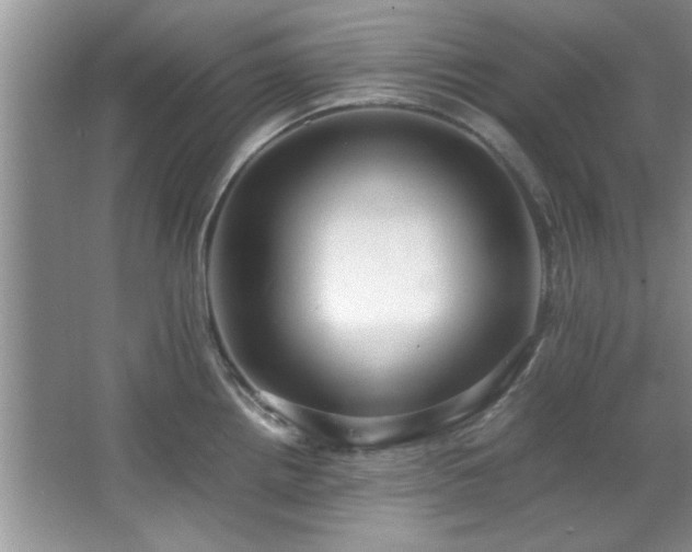 X0000066941242200603241134