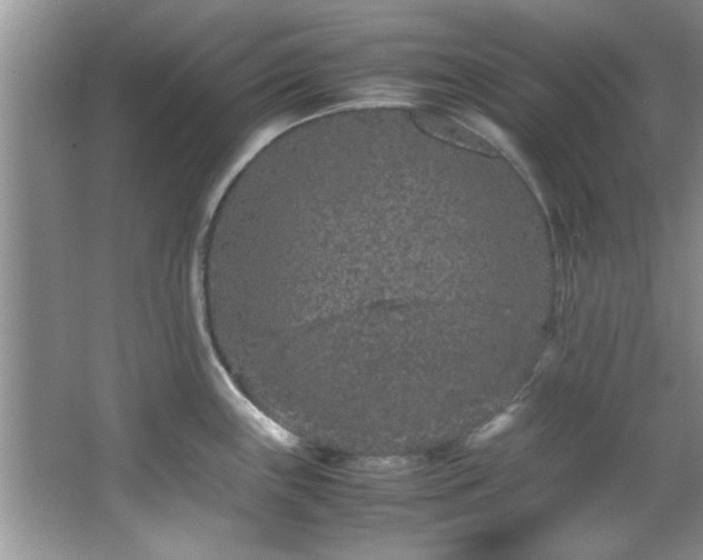 X0000066941243200603241134