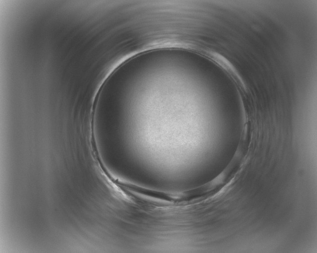 X0000066941244200603241134