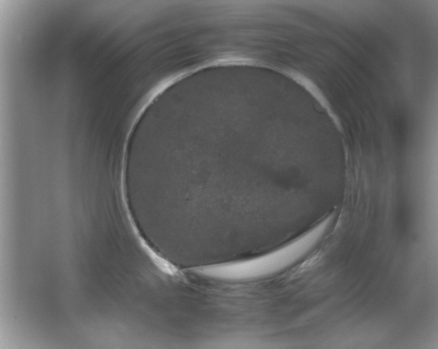 X0000066941245200603241134