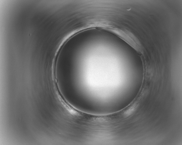 X0000066941246200603241134