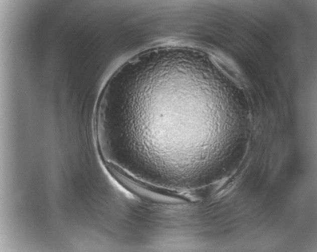 X0000066941247200603241134