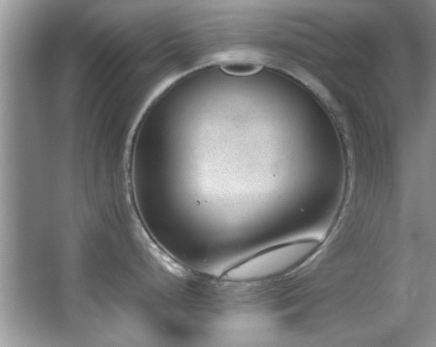 X0000066941248200603241134