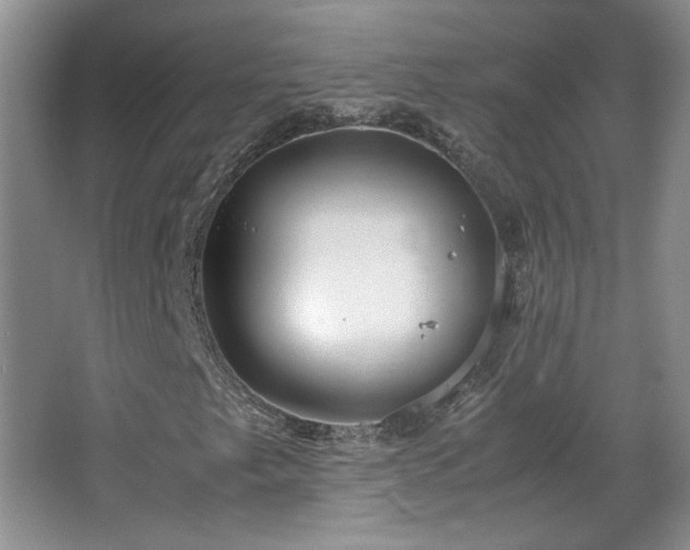 X0000066941249200603241133