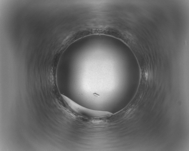 X0000066941252200603241133