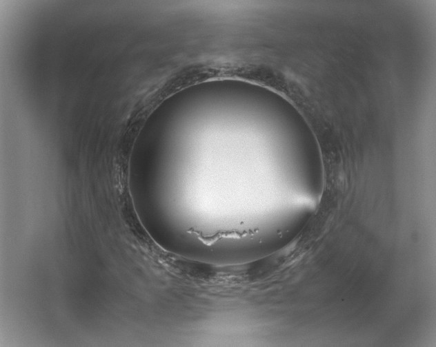 X0000066941253200603241133