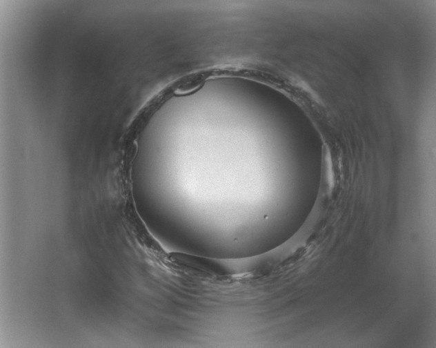 X0000066941256200603241133