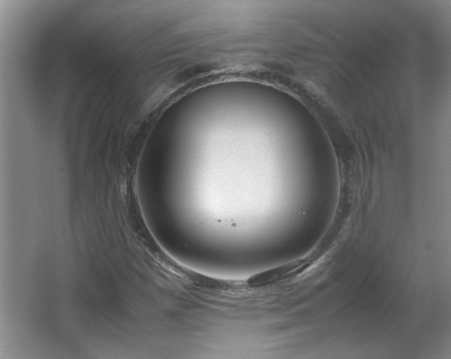 X0000066941257200603241133