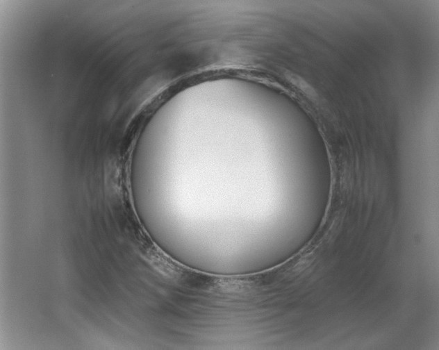 X0000066941258200603241133