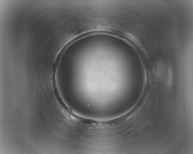 X0000066941260200603241133