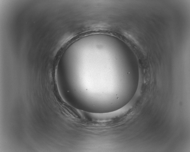 X0000066941261200603241133