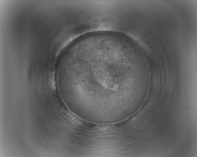 X0000066941262200603241133