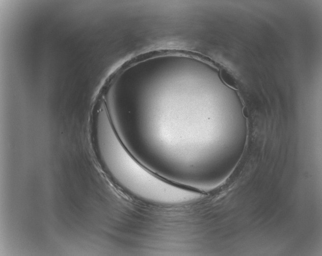 X0000066941264200603241133