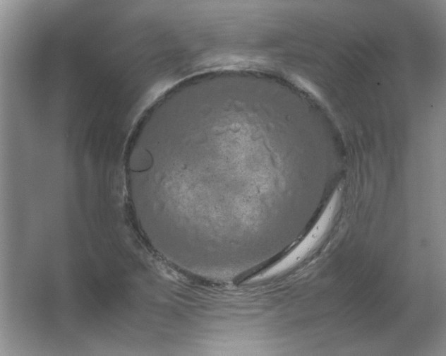 X0000066941267200603241133