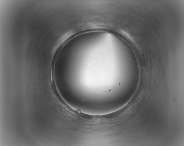 X0000066941269200603241133